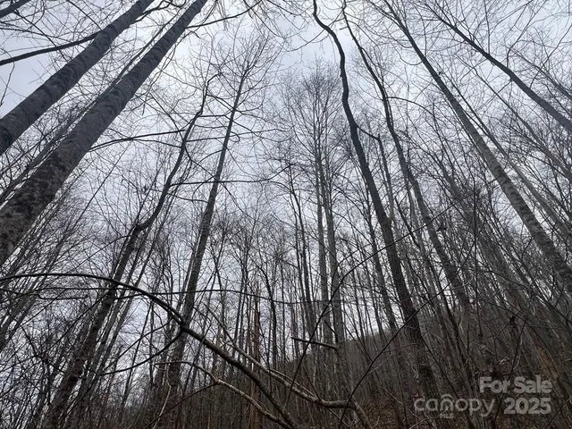 $29,750 | 0 English Setter Trail, Unit LOT 8, Whittier, NC 28789