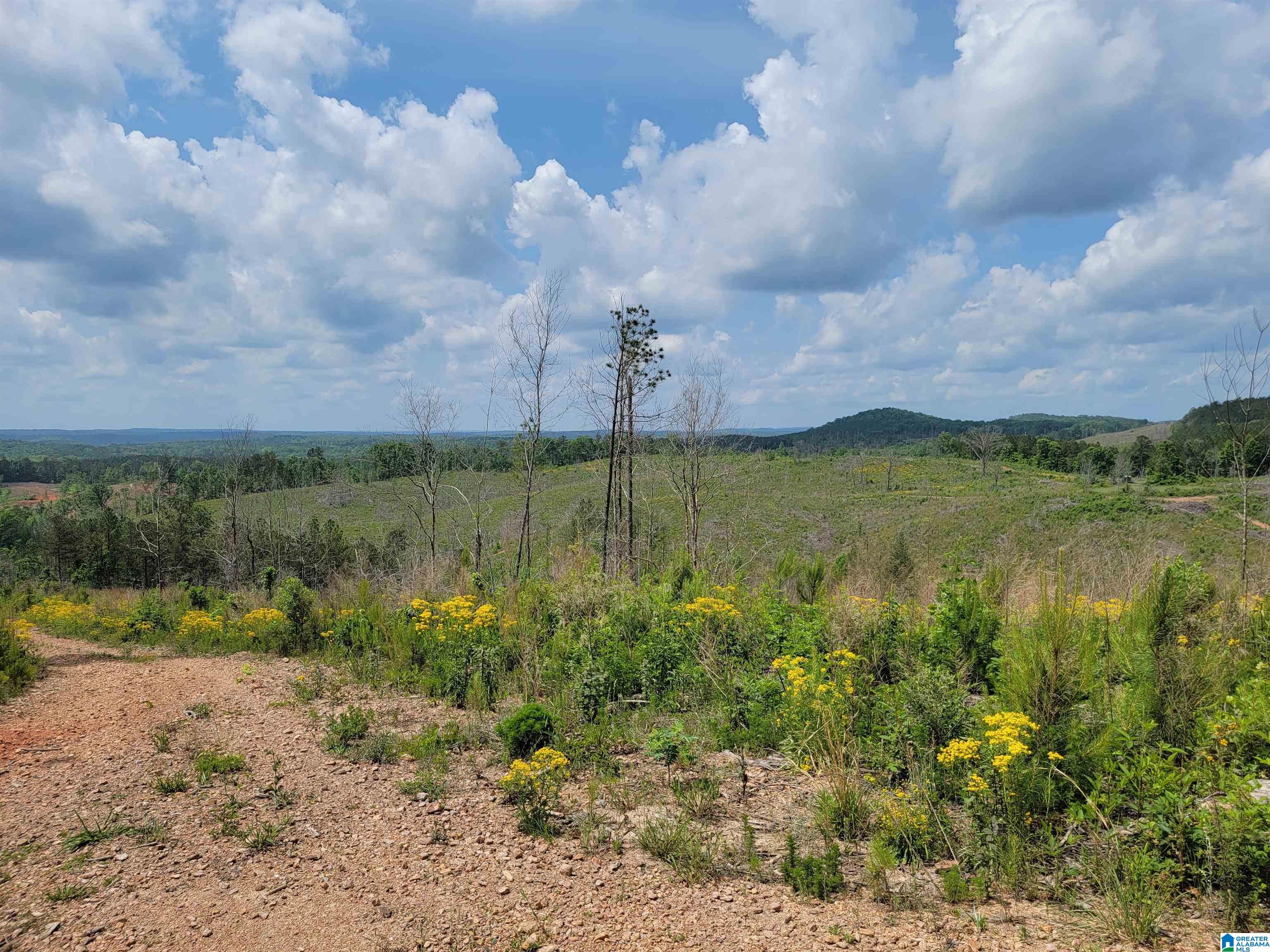 0 Chapman Road, Unit 152 Goodwater, AL 35072 - Photo 10 of 40