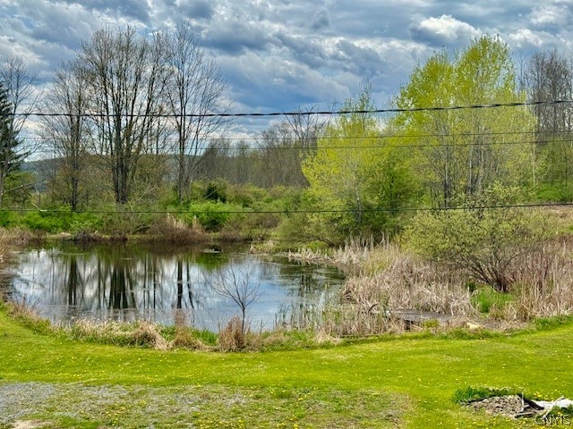 2190 Danby Road Danby, NY 13864 - Photo 9 of 43