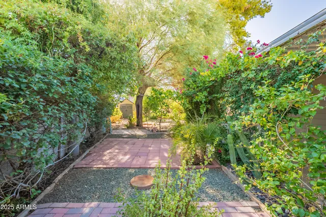 a view of a yard with plants and large trees