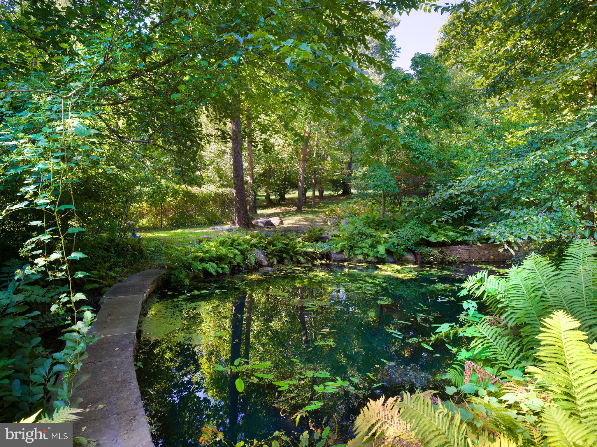 1121 Barberry Road Bryn Mawr, PA 19010 - Photo 66 of 67 Pond