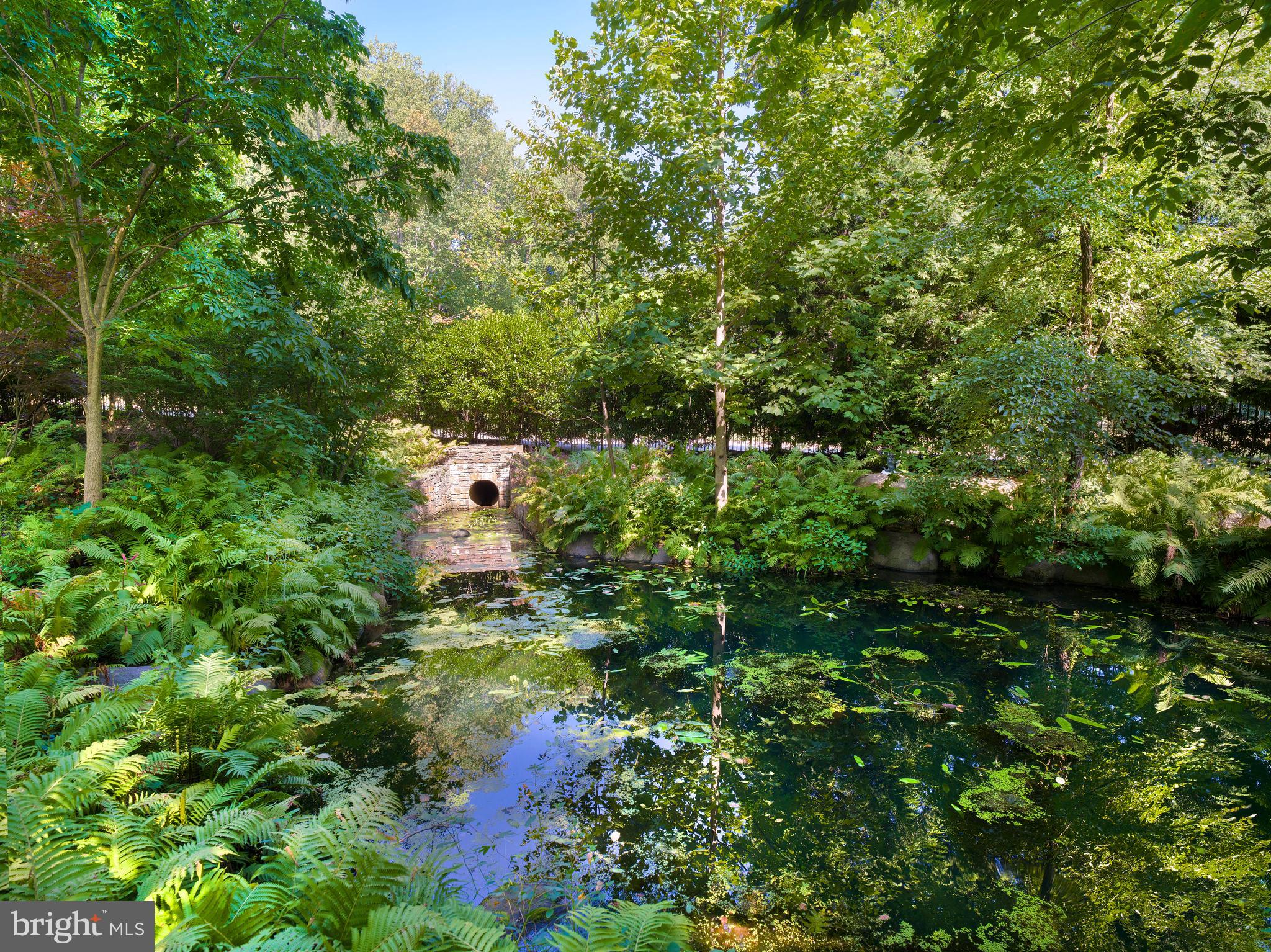 1121 Barberry Road Bryn Mawr, PA 19010 - Photo 67 of 67 Pond with walking bridge