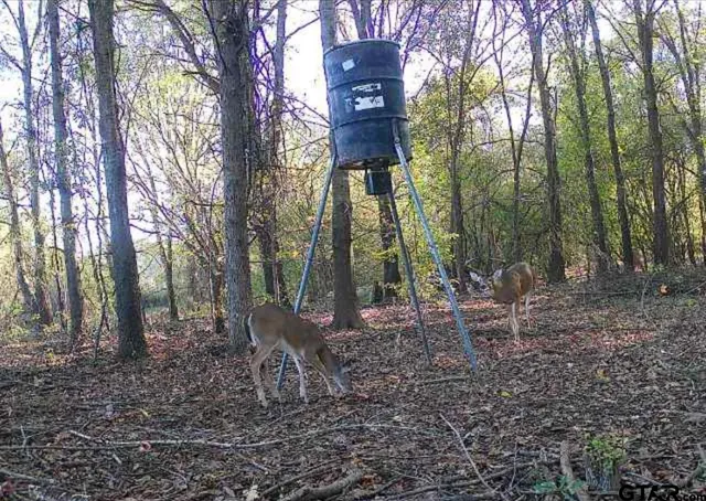 $189,000 | 21746 Cr 2138 Troup Tx 75789, Troup, TX 75789