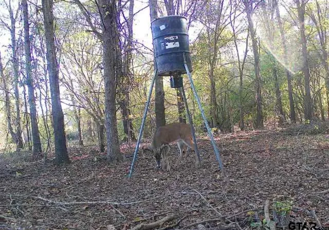 $189,000 | 21746 Cr 2138 Troup Tx 75789, Troup, TX 75789