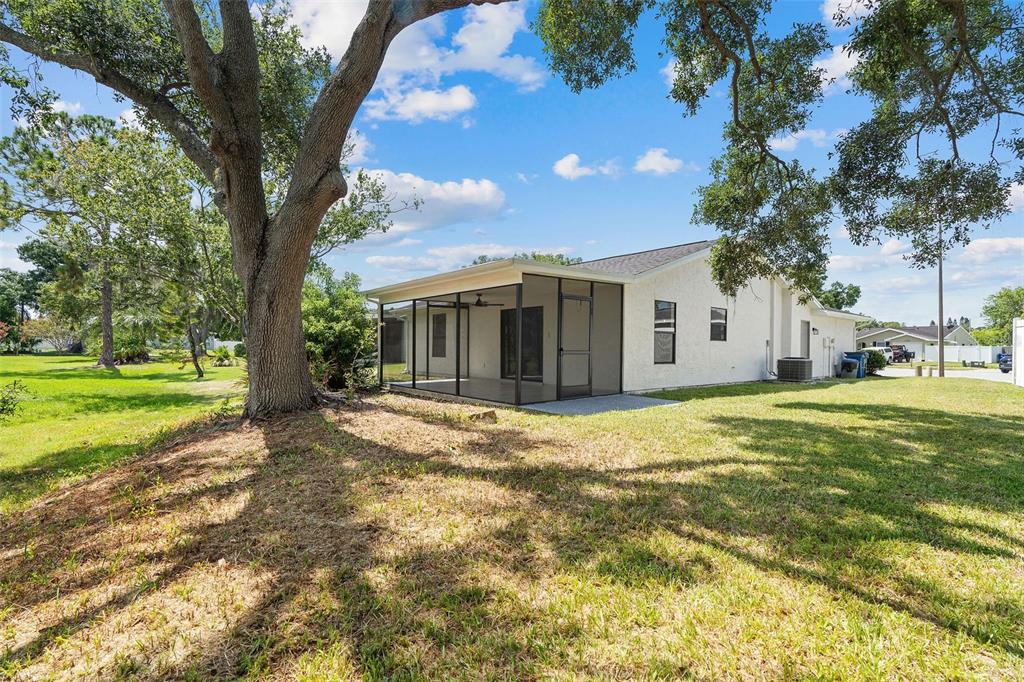 1206 Sawgrass Court Oldsmar, FL 34677 - Photo 25 of 30