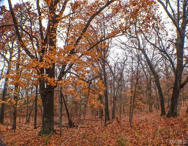 $695,000 | 9057 Big Tavern Creek Road, Portland, MO 65067