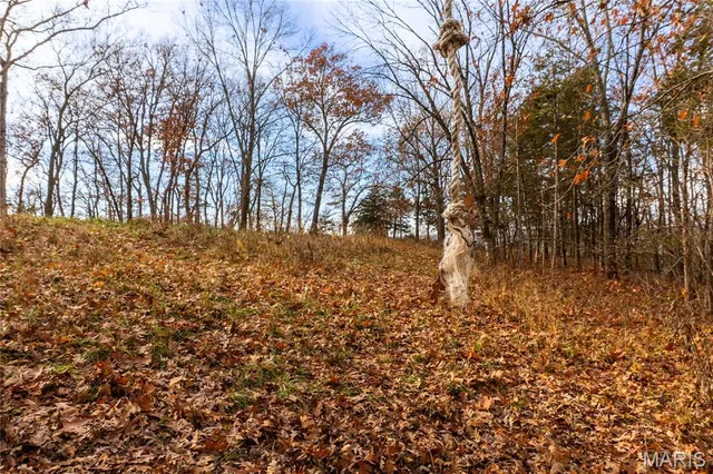 $695,000 | 9057 Big Tavern Creek Road, Portland, MO 65067