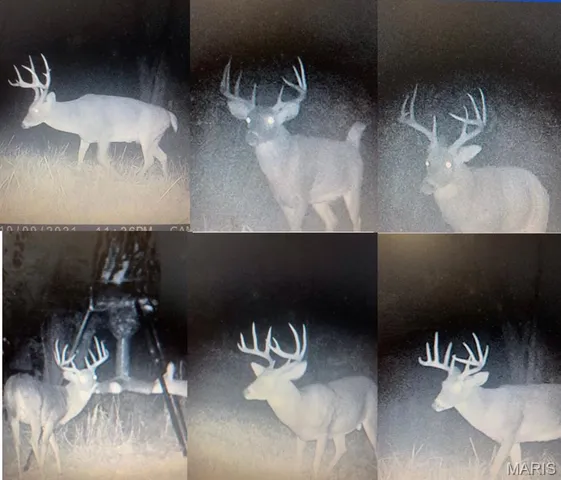 $695,000 | 9057 Big Tavern Creek Road, Portland, MO 65067