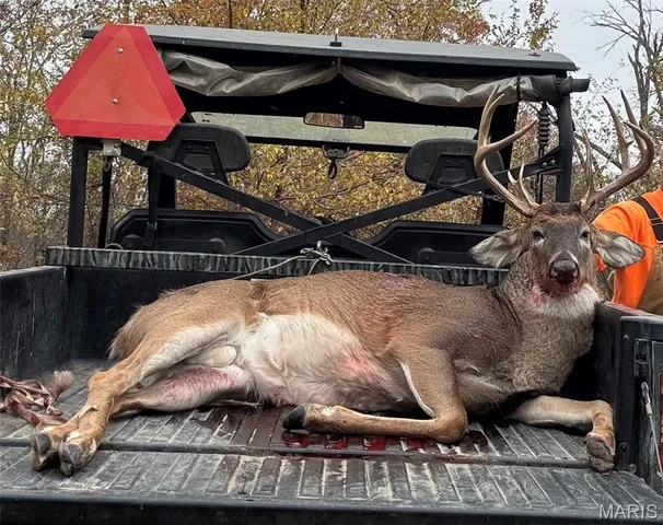 $695,000 | 9057 Big Tavern Creek Road, Portland, MO 65067