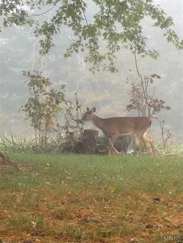 $695,000 | 9057 Big Tavern Creek Road, Portland, MO 65067