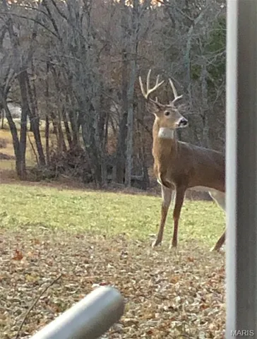 $695,000 | 9057 Big Tavern Creek Road, Portland, MO 65067