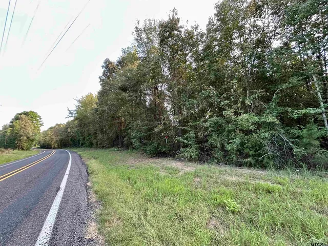 a view of a lush green forest