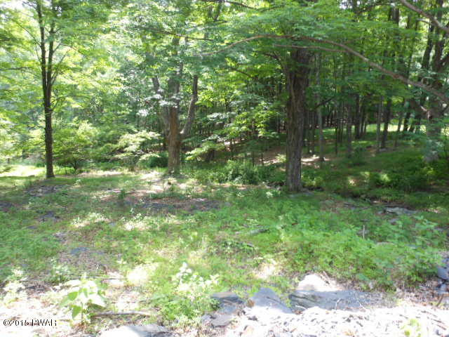 Log And Twig Road Dingmans Ferry, PA 18328 - Photo 2 of 9