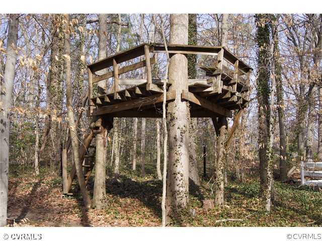 7240 Cherokee Road Richmond, VA 23225 - Photo 7 of 8 Other - TREE HOUSE