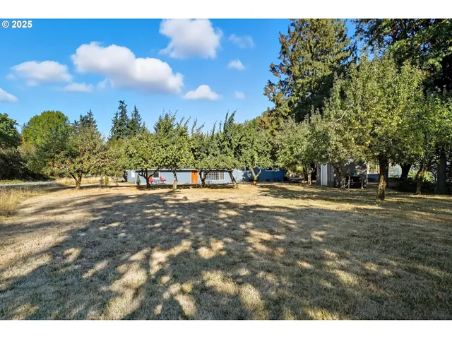 a patio with water view and trees with wooden floor