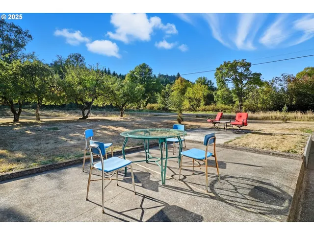 a backyard of a house with lots of green space