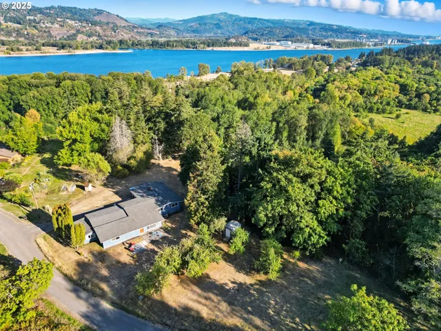 an aerial view of a residential houses with outdoor space and trees