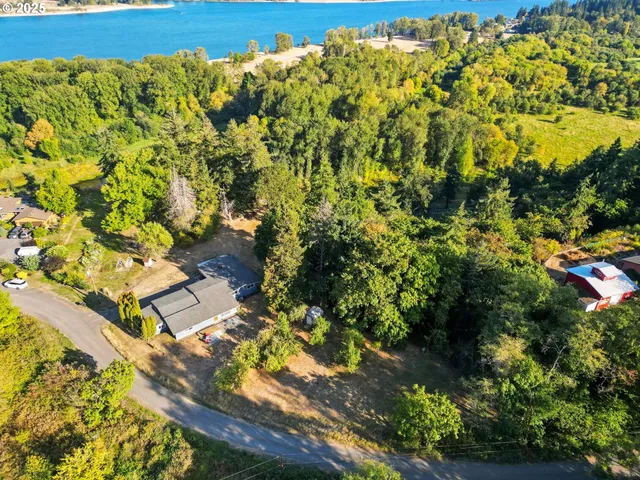 a view of a bunch of trees and bushes