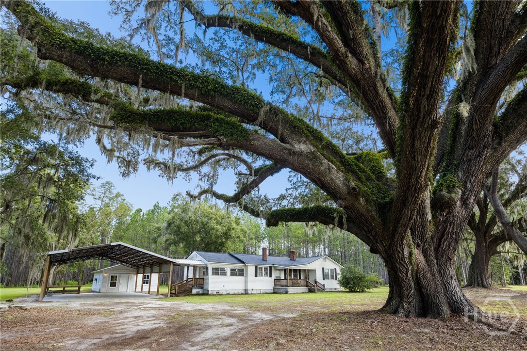 2445 Wilma Edwards Road Ellabell, GA 31308 - Photo 21 of 23 Gallery Image 21