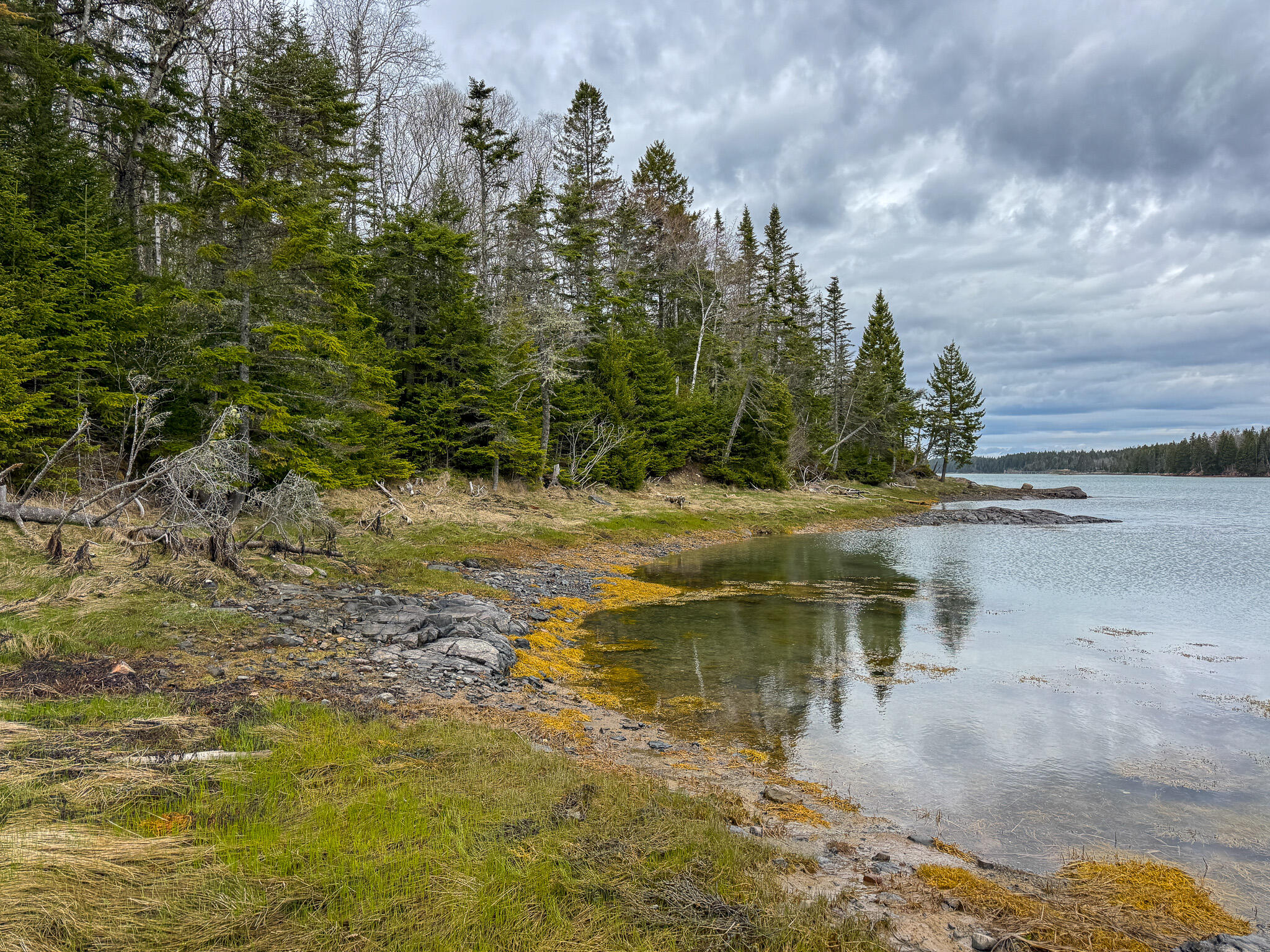 Lot 46 Yoho Head Road Machiasport, ME 04655 - Photo 11 of 22 11