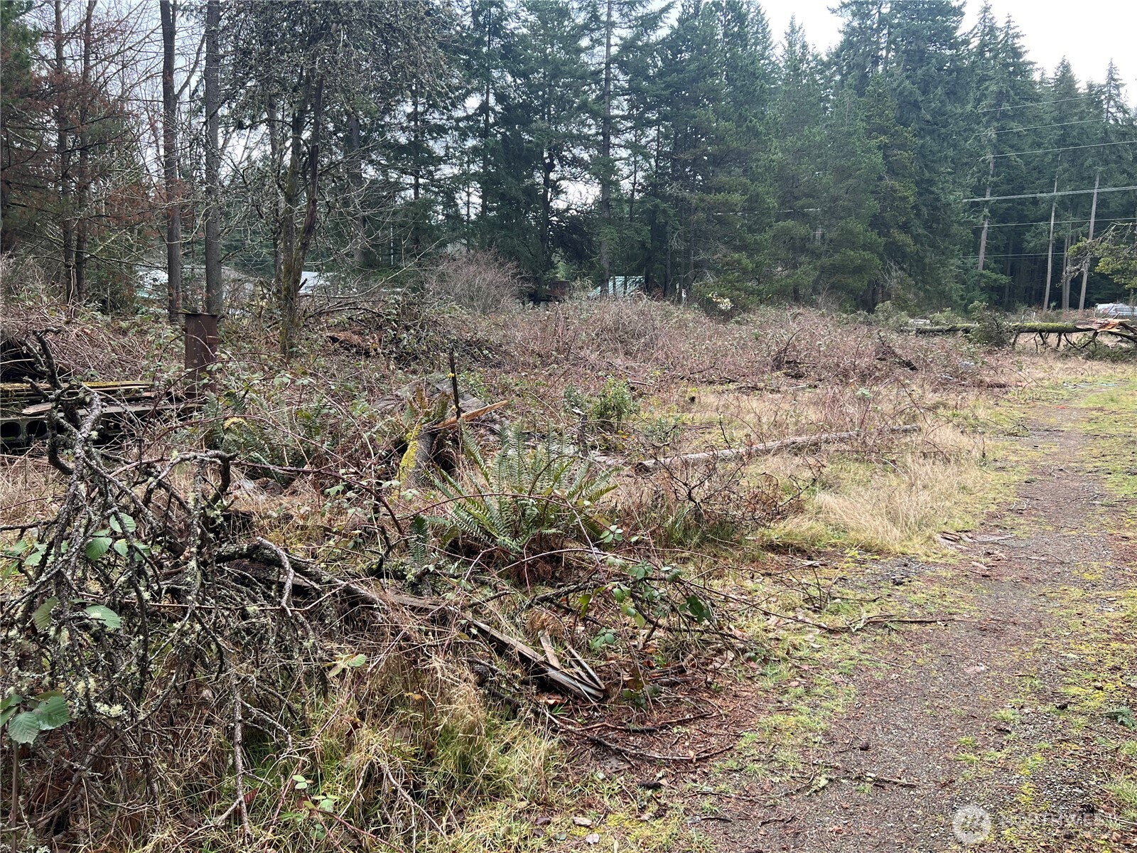 2377 Southeast Sedgwick Road Port Orchard, WA 98366 - Photo 3 of 5 Gallery Image 3