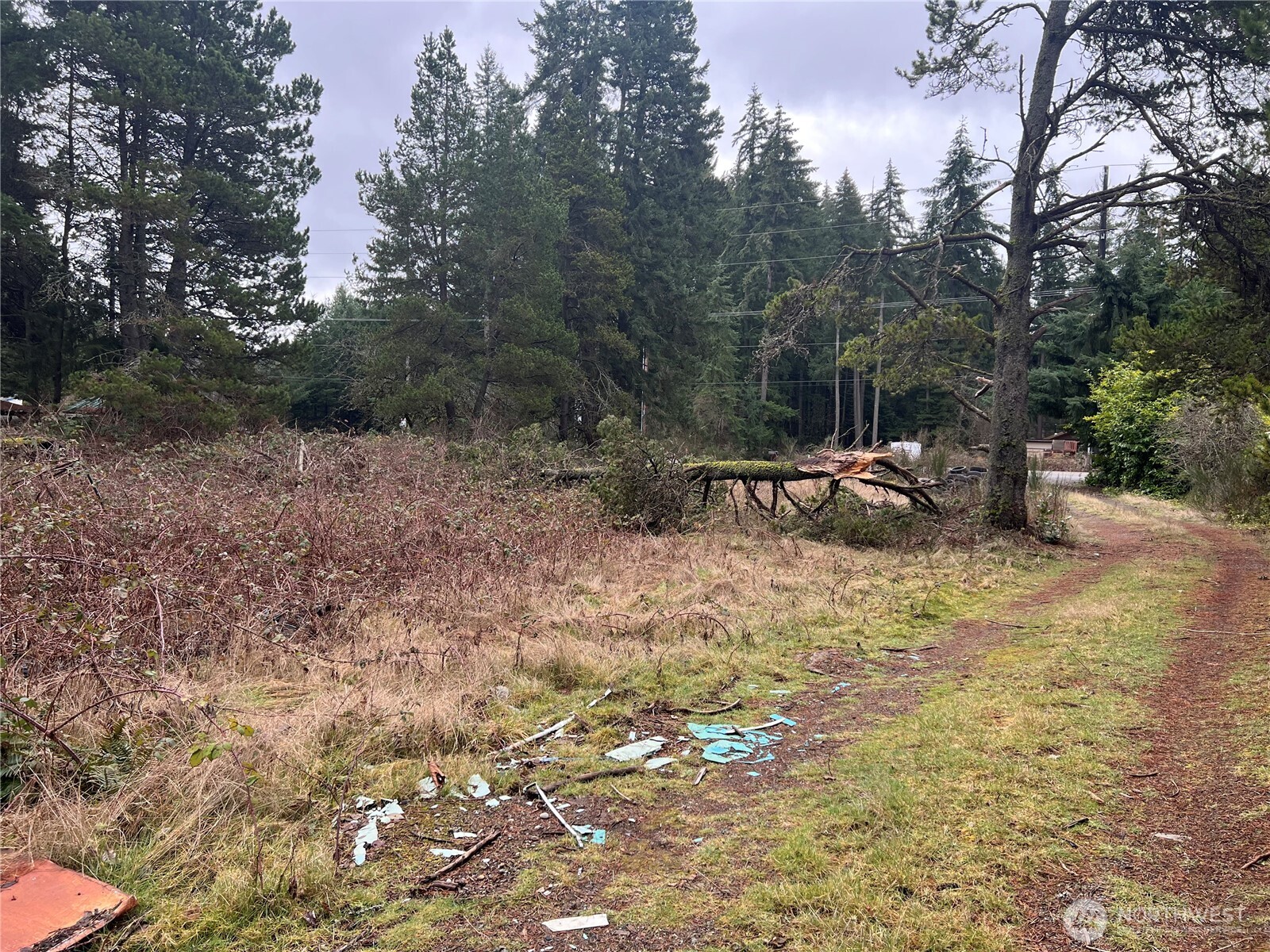 2377 Southeast Sedgwick Road Port Orchard, WA 98366 - Photo 4 of 5 Gallery Image 4