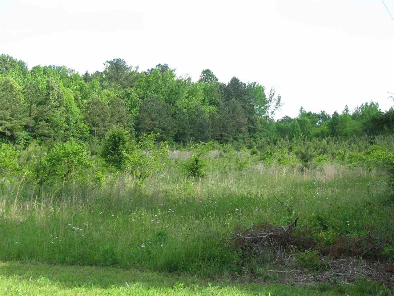 Seaman Road Norlina, NC 27563 - Photo 5 of 5 Photo 5