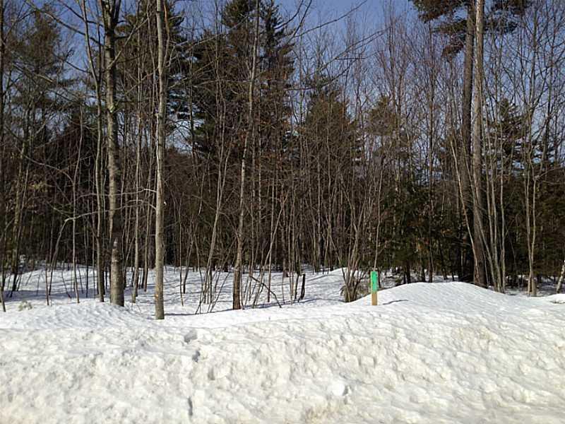 47 South Ridge Road Falmouth, ME 04105 - Photo 3 of 7 Land.