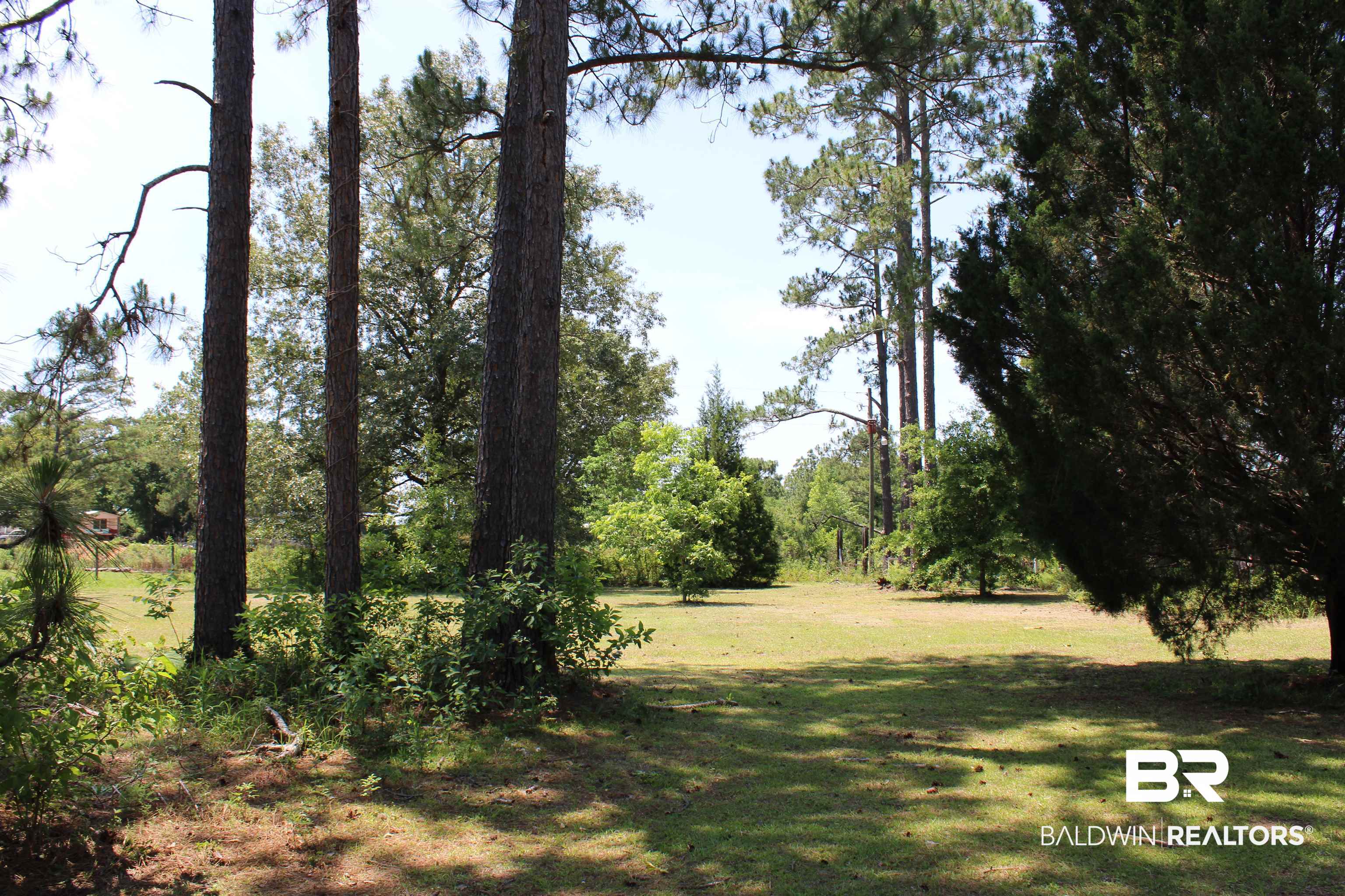 9466 Sand Ridge Road Citronelle, AL 36522 - Photo 4 of 6