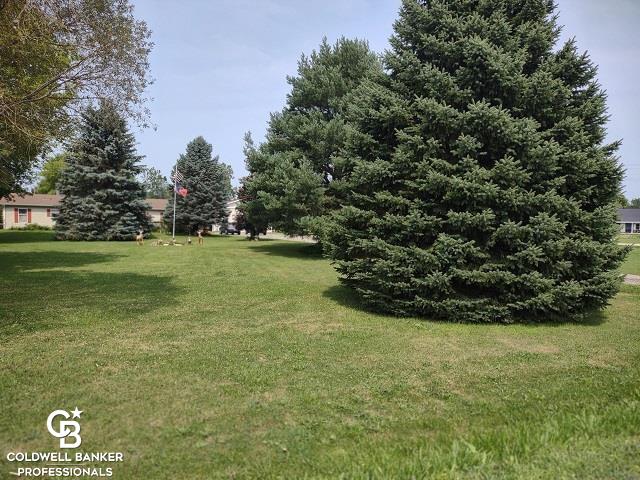 12014 Speaker Road Yale, MI 48097 - Photo 34 of 38 Front Lawn View 2