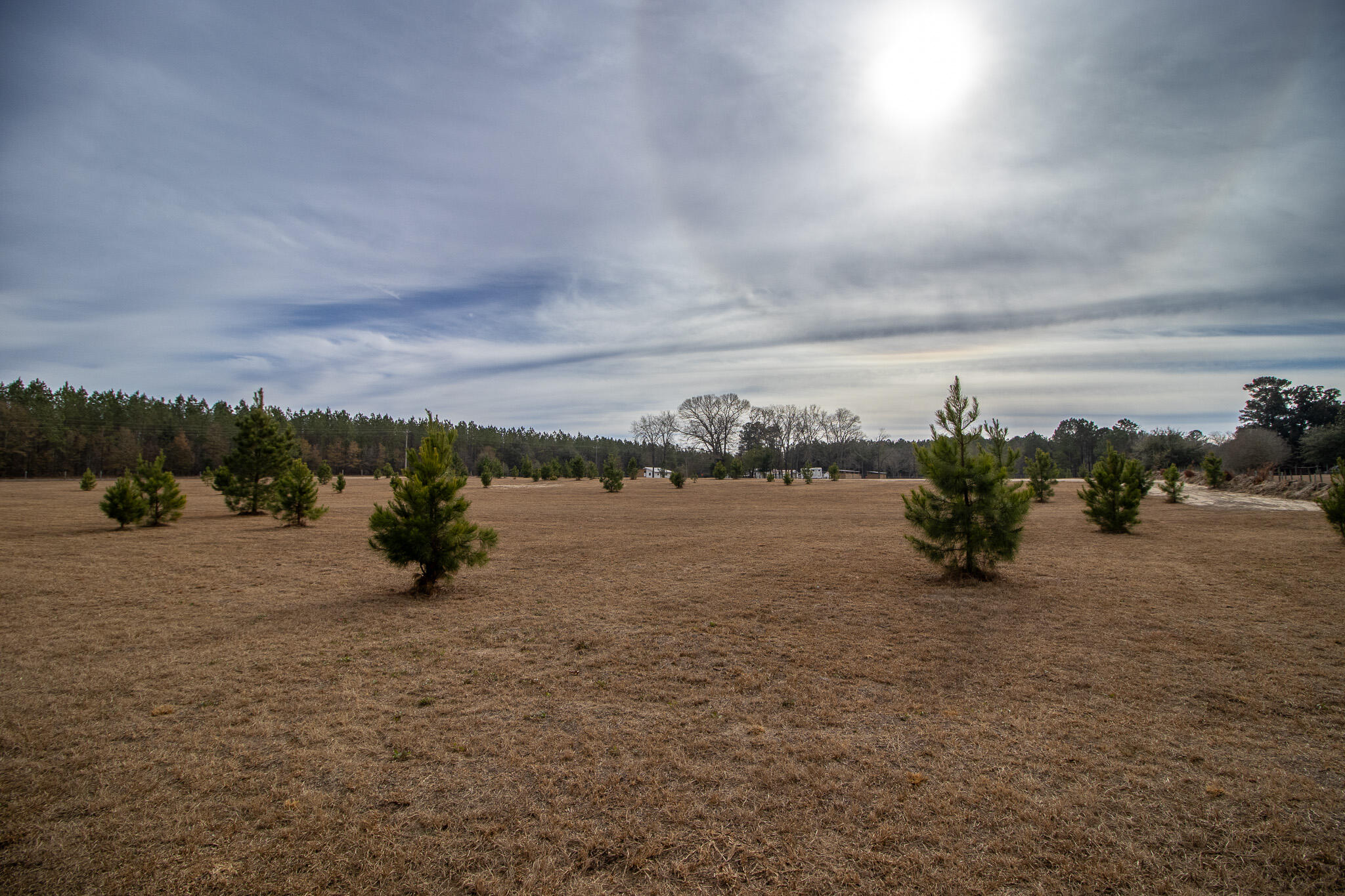 142 Hopewell Road North, SC 29112 - Photo 21 of 112