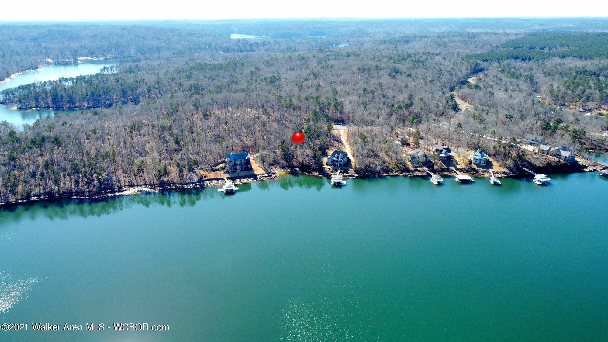 Lot 148 Stoney Point Road Double Springs, AL 35553 - Photo 9 of 17 Gallery Image 9