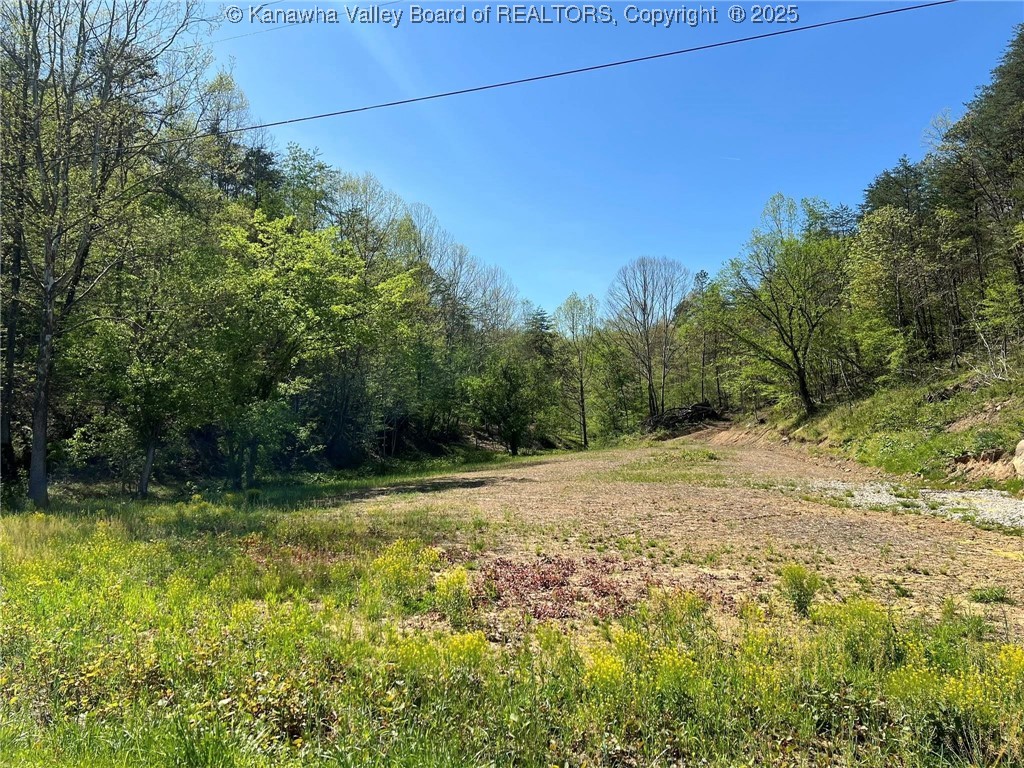 0 Upper Mud River Road Hamlin, WV 25523 - Photo 9 of 18 Gallery Image 9