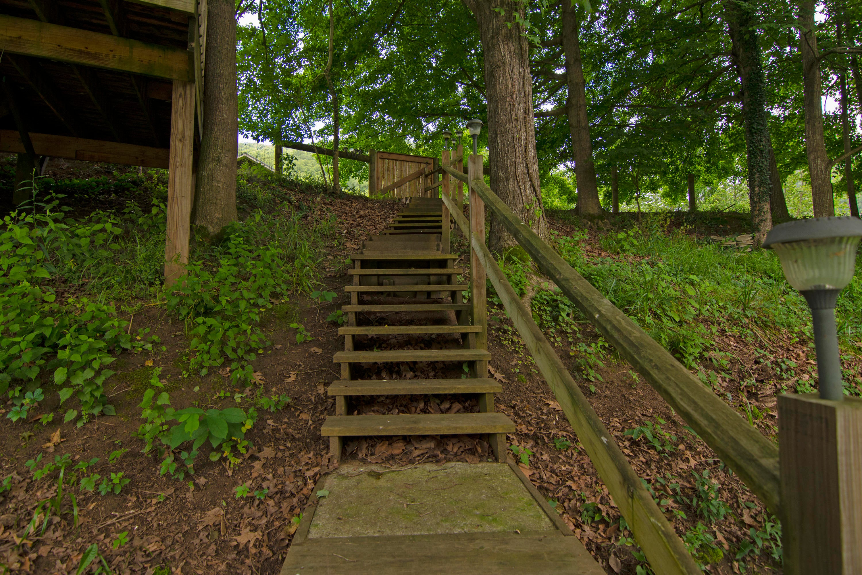5182 New River Road Hinton, WV 25951 - Photo 67 of 70 Gallery Image 67