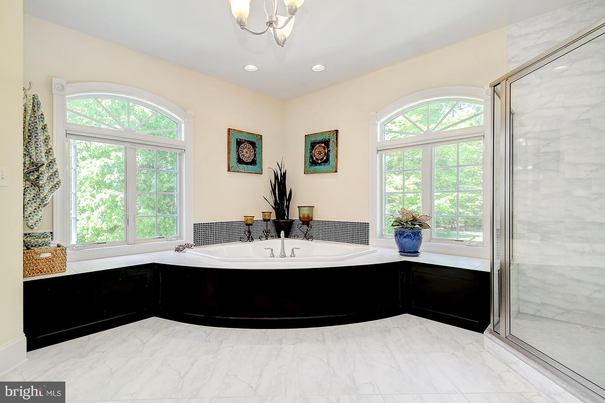 13105 Pendleton Court Reisterstown, MD 21136 - Photo 20 of 30 Bath (Master)