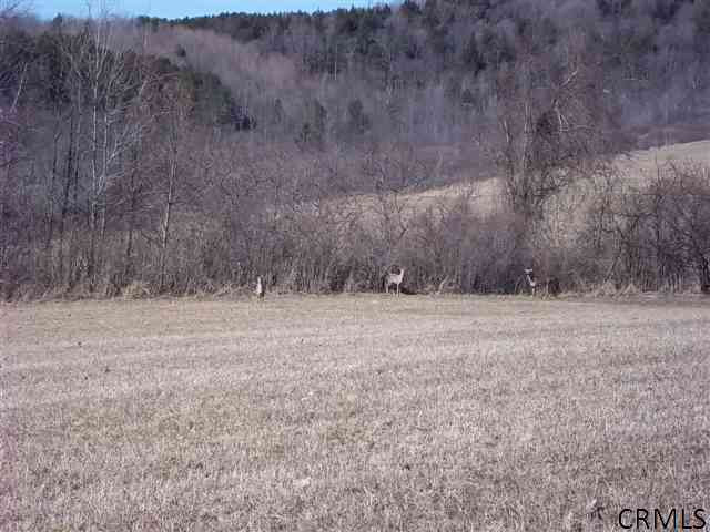 120 A Rhinebeck Road Cobleskill, NY 12043 - Photo 3 of 4 Photo 3