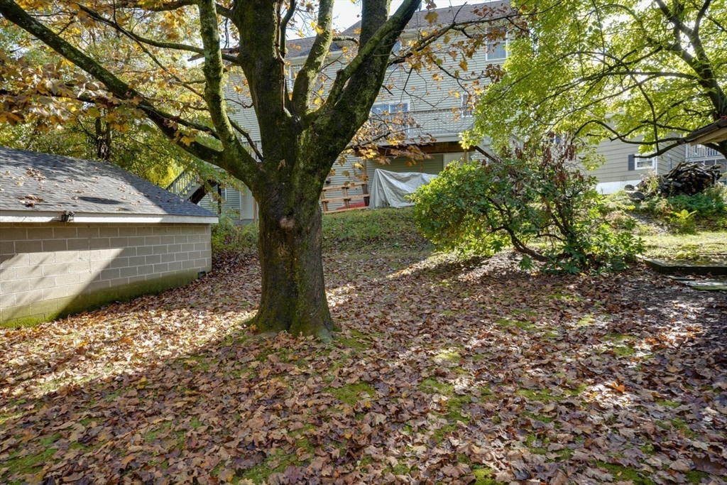 194 Norfolk Street Worcester, MA 01604 - Photo 27 of 31