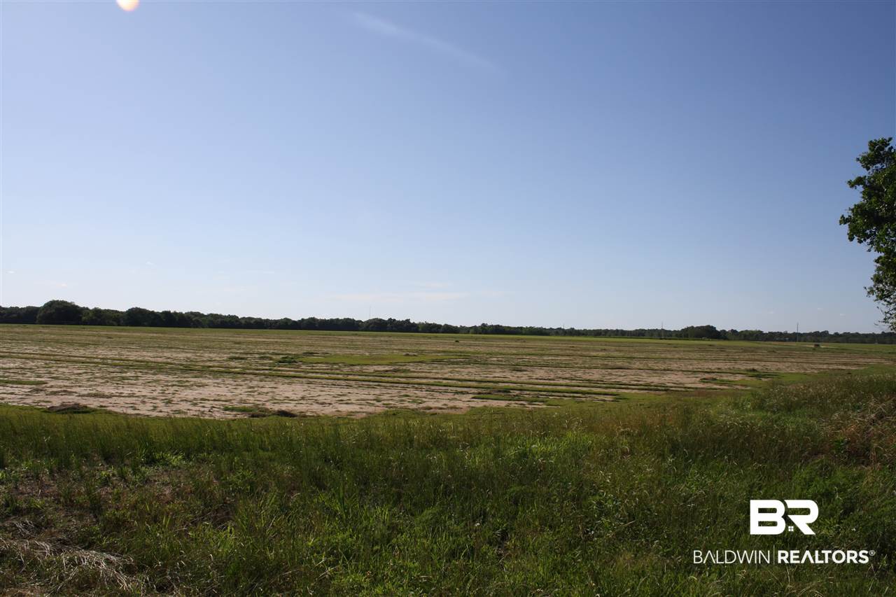 0 Vernant Park Road Foley, AL 36535 - Photo 18 of 20