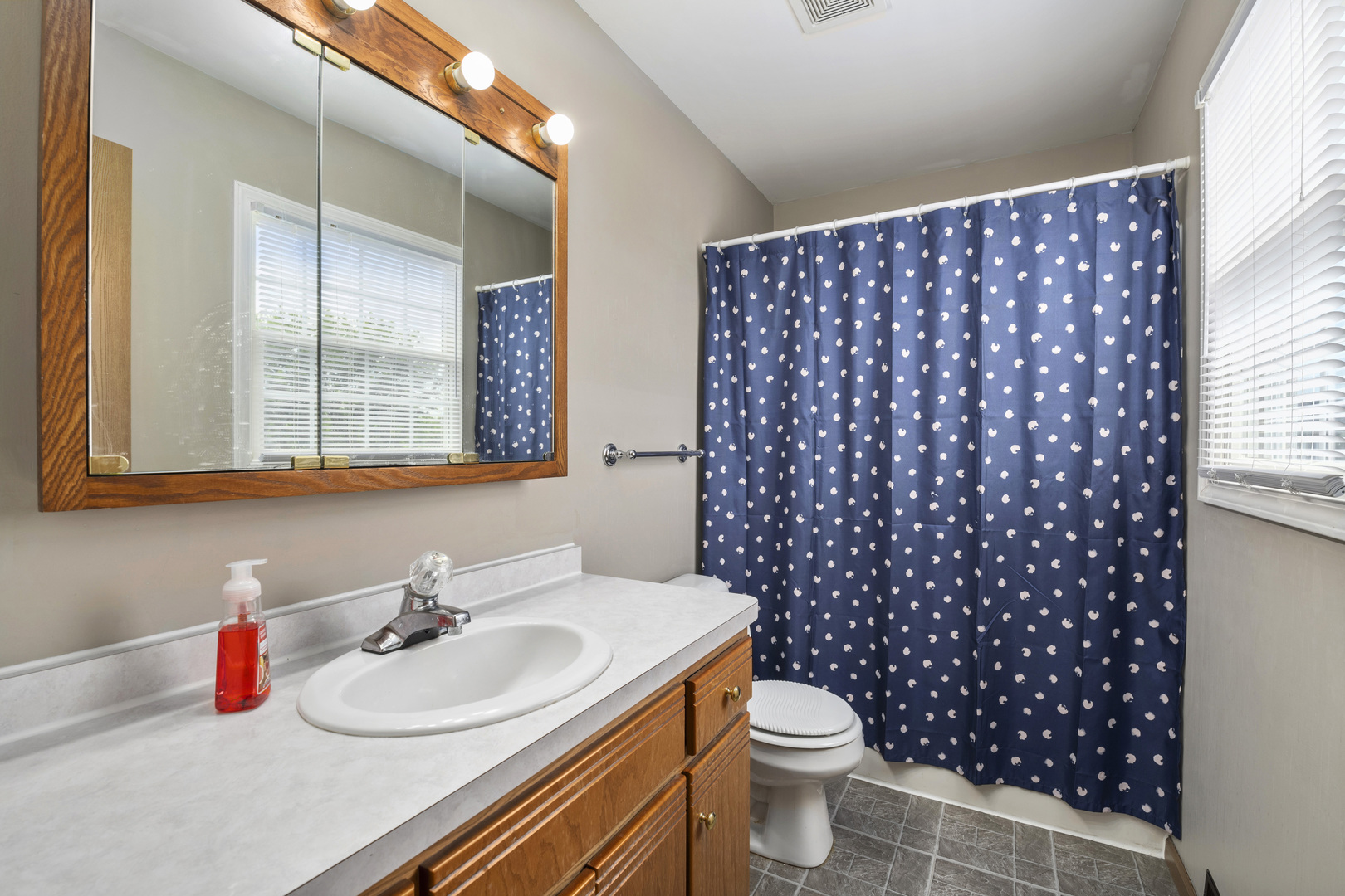522 Hunters Run Coal City, IL 60416 - Photo 16 of 24 a bathroom with a sink toilet and shower
