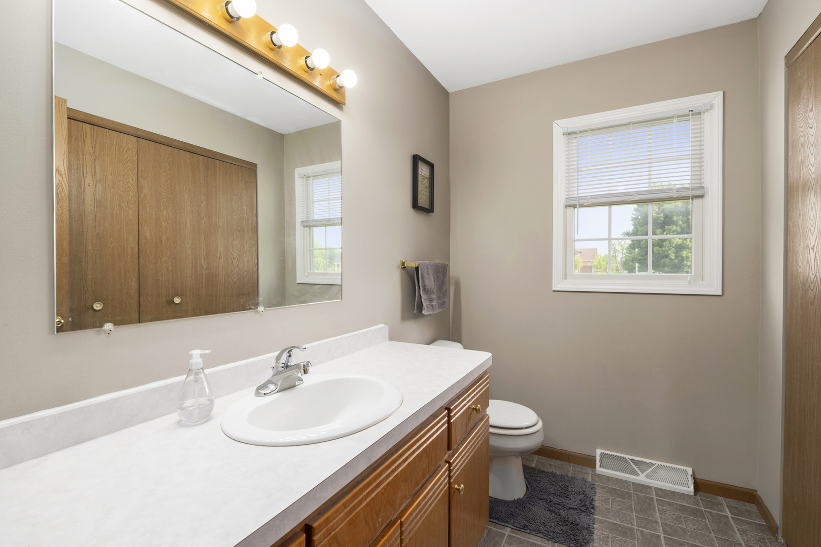 522 Hunters Run Coal City, IL 60416 - Photo 17 of 24 a bathroom with a toilet a sink a mirror and a window