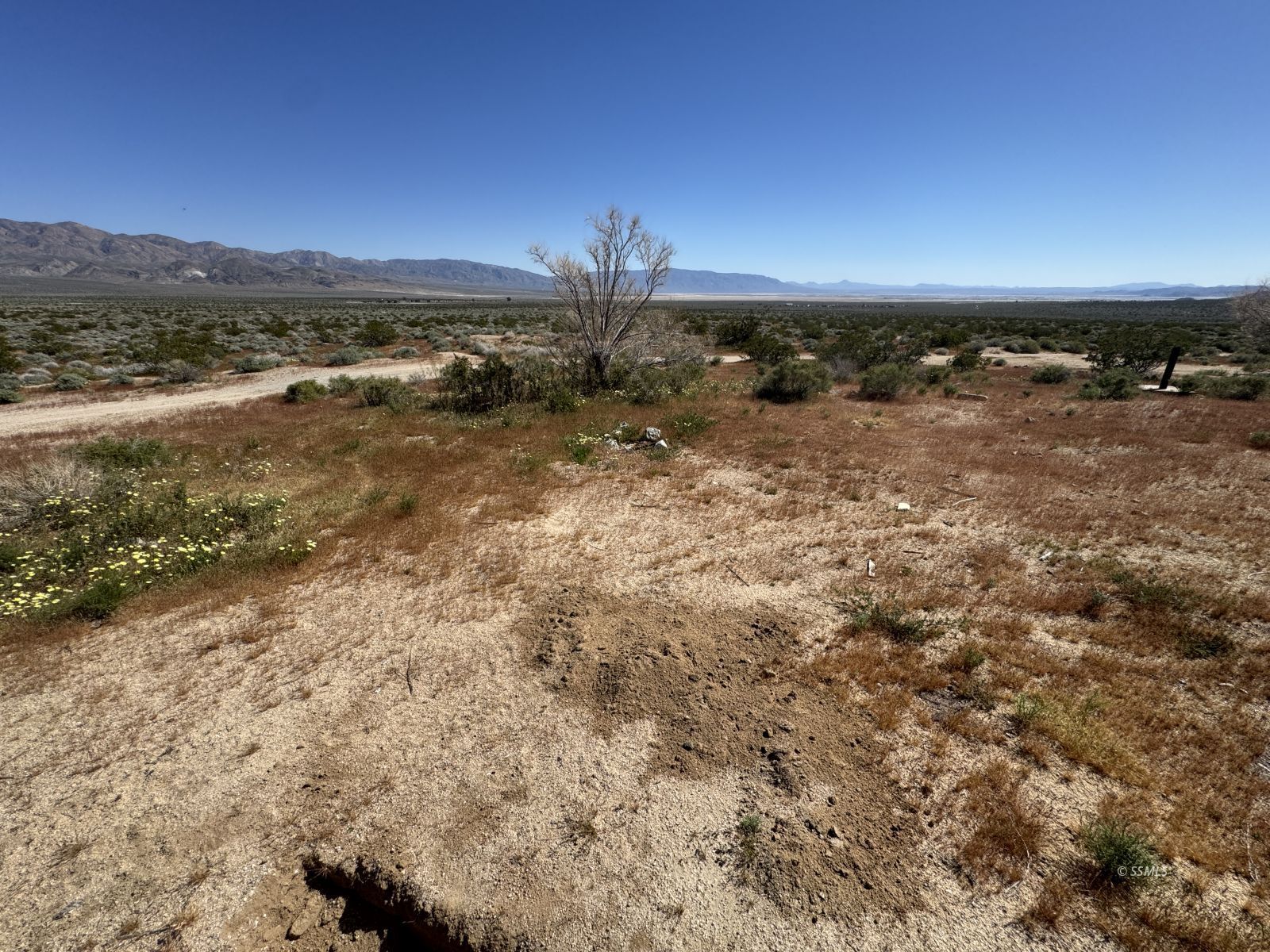 3101 Kings Ranch Road Trona, CA 93562 - Photo 6 of 10