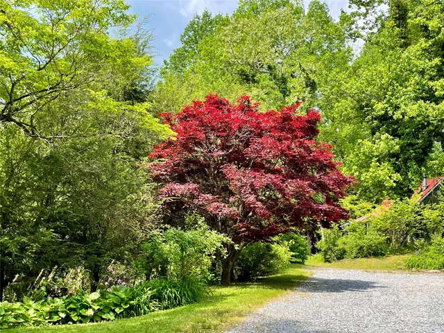 a backyard of a house with outdoor seating