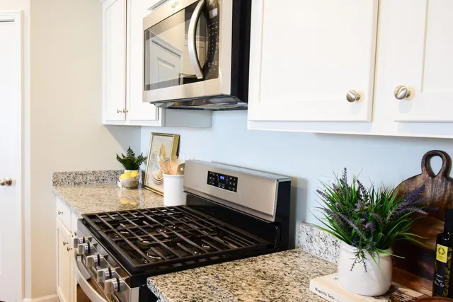 $3,300 | 482 Oak View Way, Summerville, SC 29483