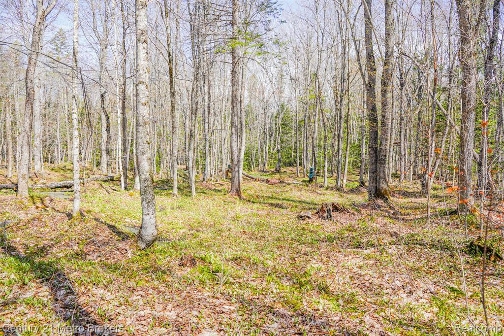 21821 Krenkel Road Newberry, MI 49868 - Photo 19 of 28