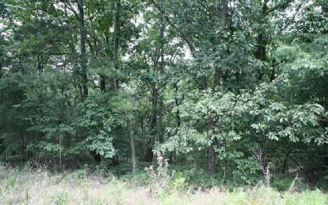 974 Cedar Ridge Talking Rock, GA 30540 - Photo 1 of 1 Main View