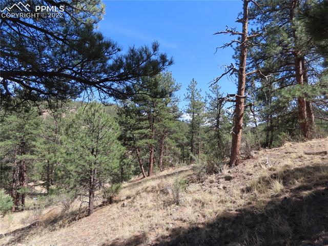 165 West Platte Road Lake George, CO 80827 - Photo 9 of 27