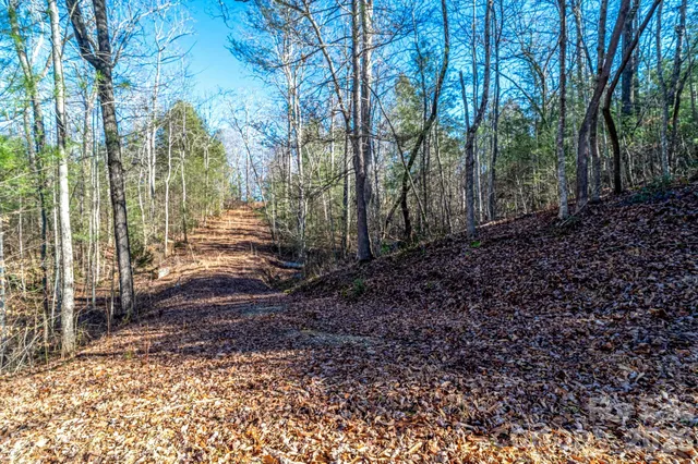 a view of house with yard