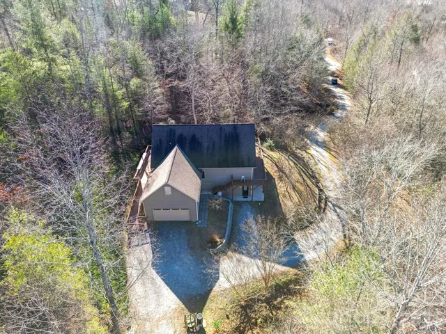 a view of a lush green forest with lush green forest