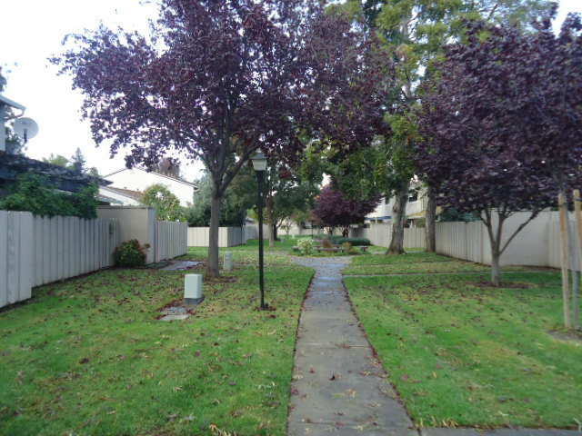 4772 Raspberry Place San Jose, CA 95129 - Photo 4 of 15 Gallery Image 4
