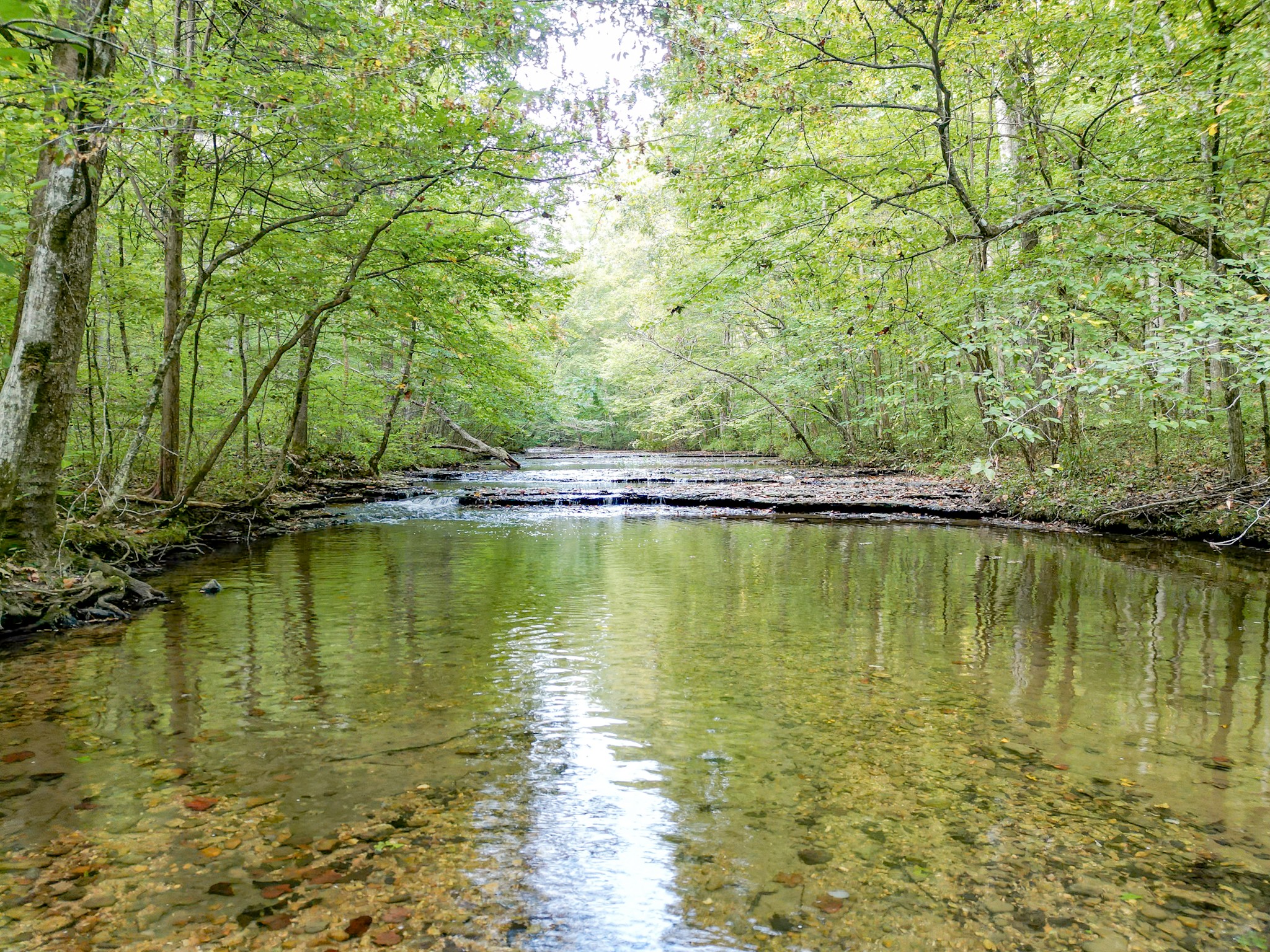 0 C C C Road Fairview, TN 37062 - Photo 13 of 35 a view of a lake view